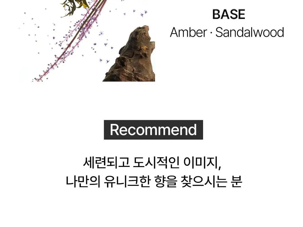[오래남는 잔향] 티블레스 오일퍼퓸 5ml 세이지 앰버 퍼플티 상세페이지 9
